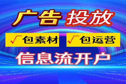 SEM运营公司成功案例解析